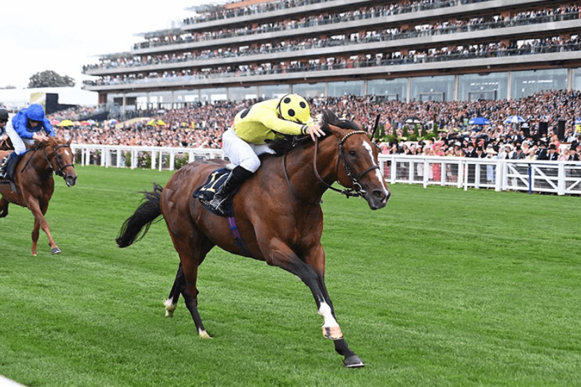 Horse Racing Around the World: Exploring Global Tracks