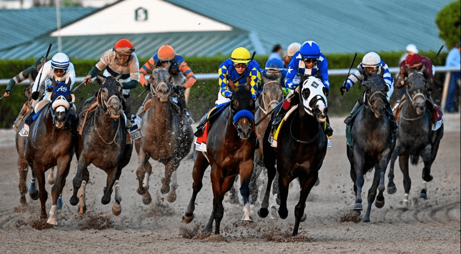 Horse Racing Events That Bring Fans Together