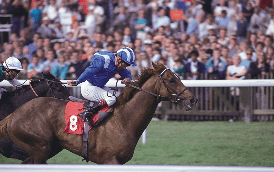 Horse Racing: Exploring the Connection Between Horses and Jockeys